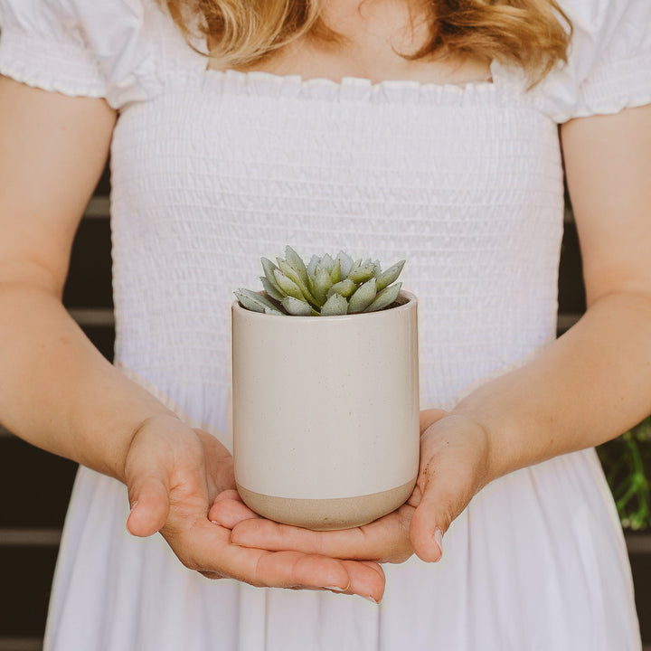 Stoneware Planter