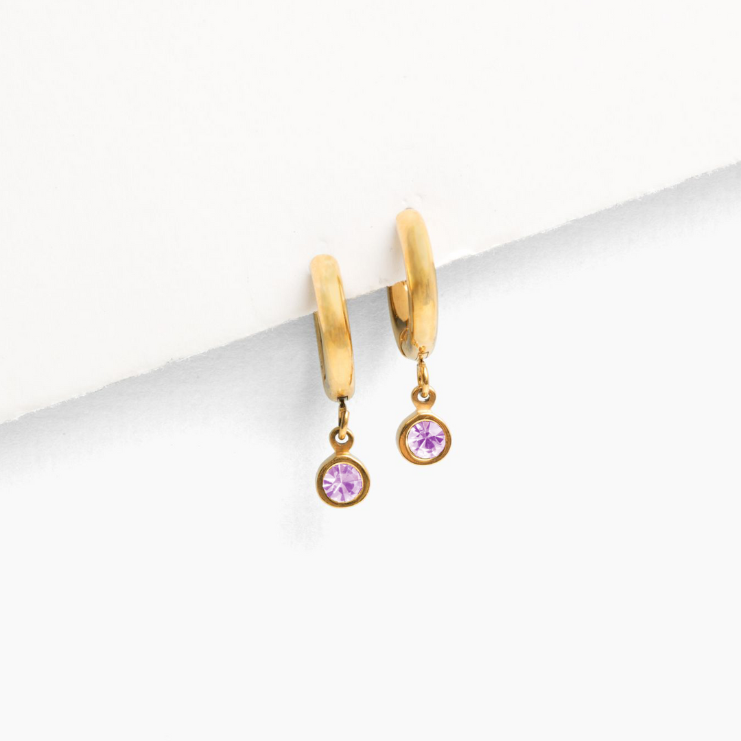 Birthstone Charm Hoop Earrings