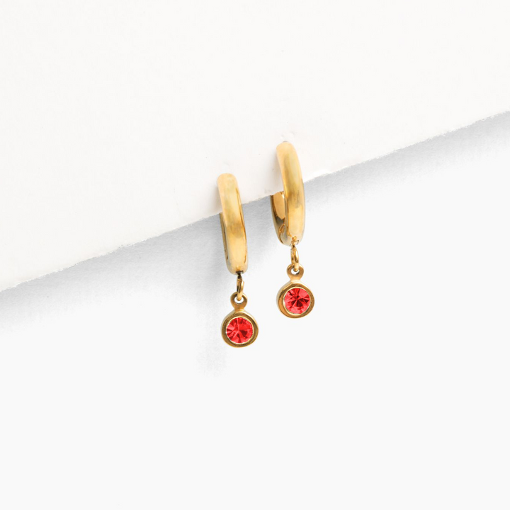 Birthstone Charm Hoop Earrings