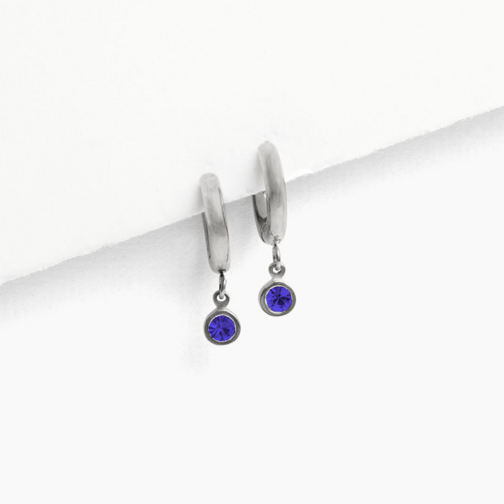 Birthstone Charm Hoop Earrings