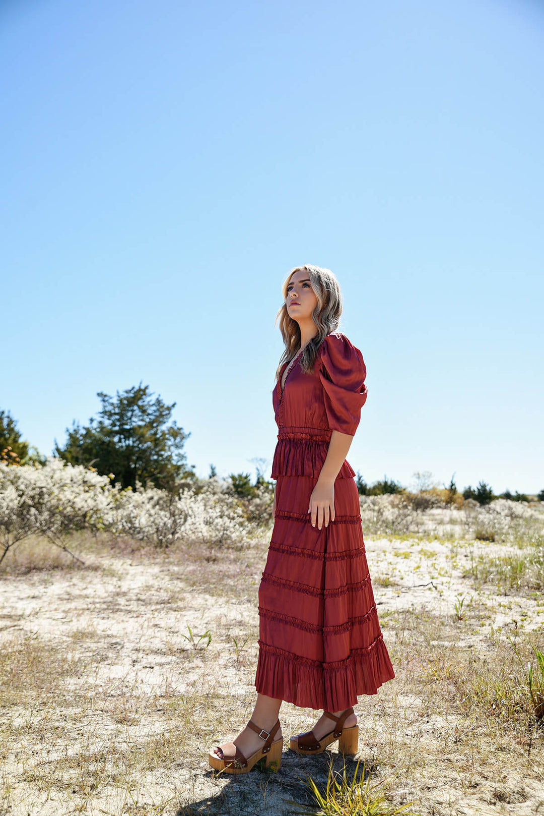 Alice Dress In Red