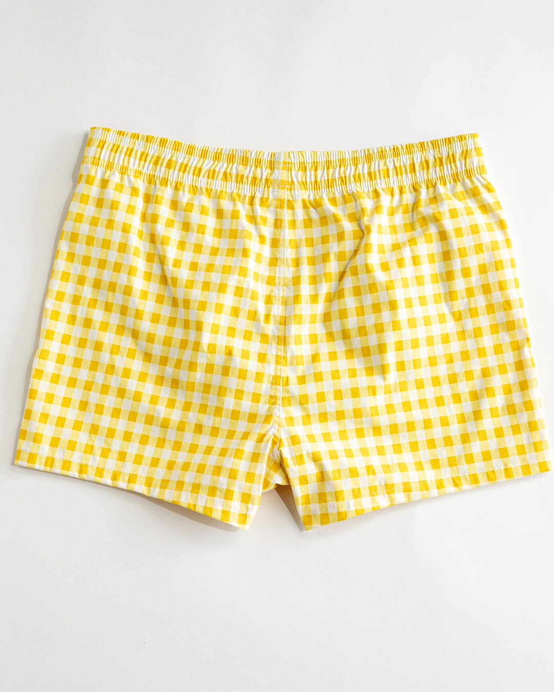 Gingham Cabana Trunk