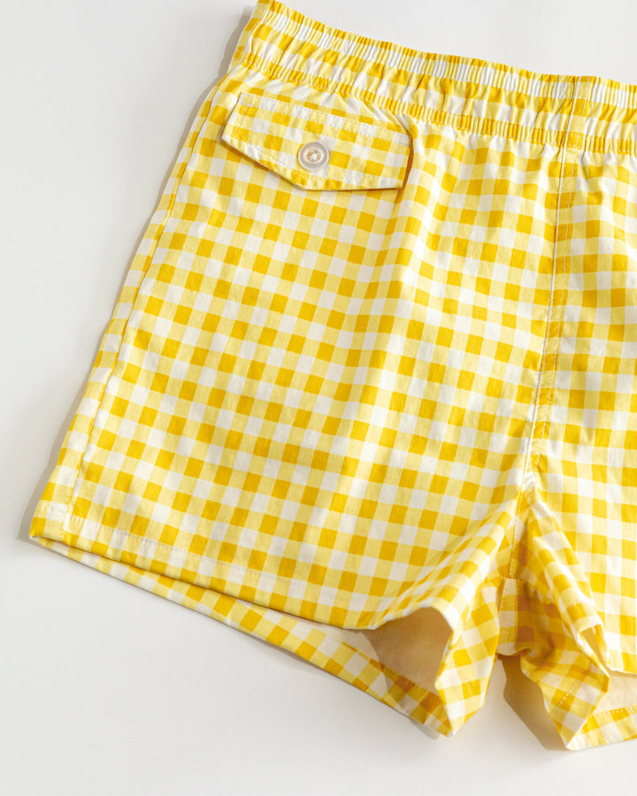 Gingham Cabana Trunk