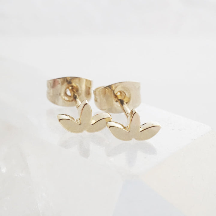 Lotus Studs