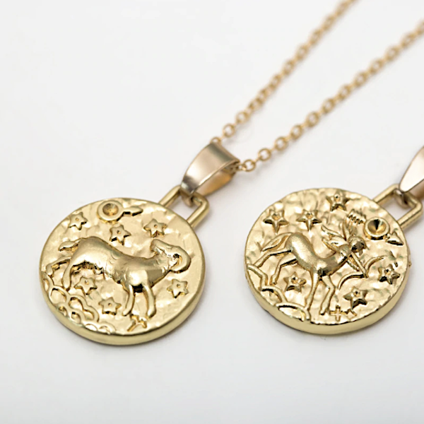 Zodiac Coin Necklace