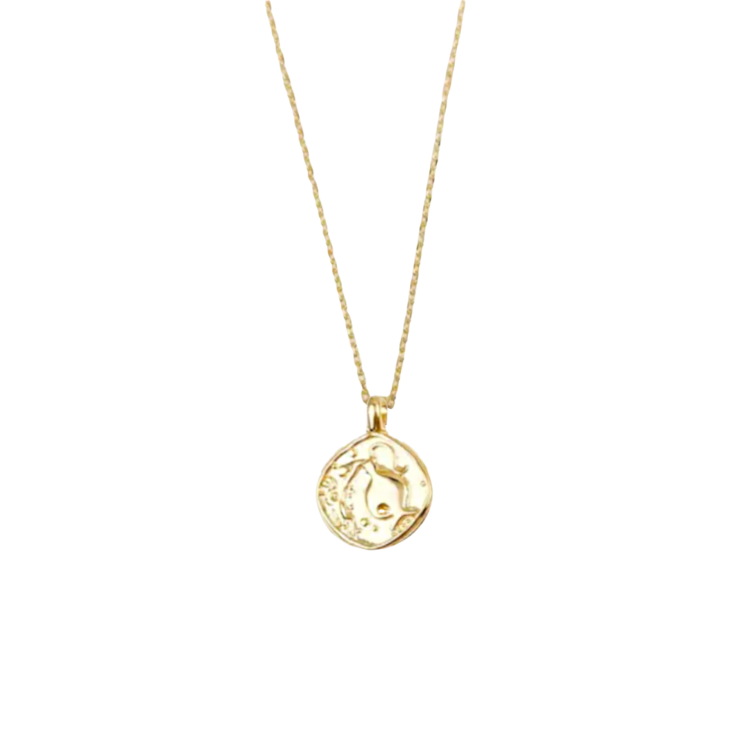 Zodiac Coin Necklace