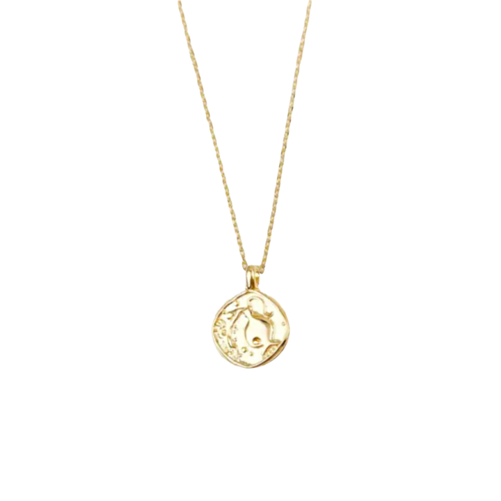 Zodiac Coin Necklace