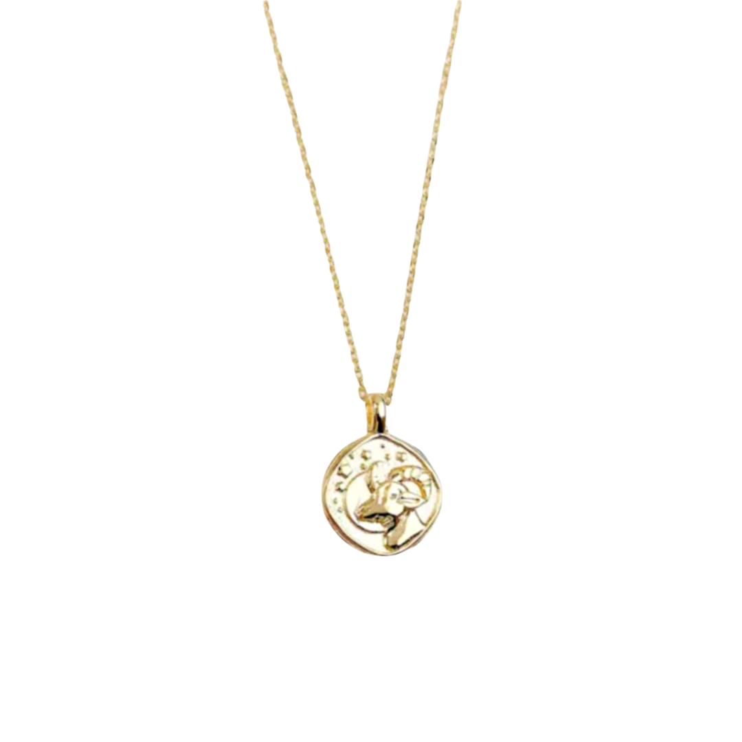 Zodiac Coin Necklace