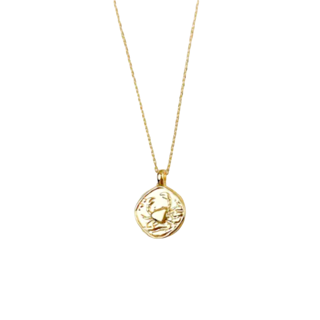 Zodiac Coin Necklace