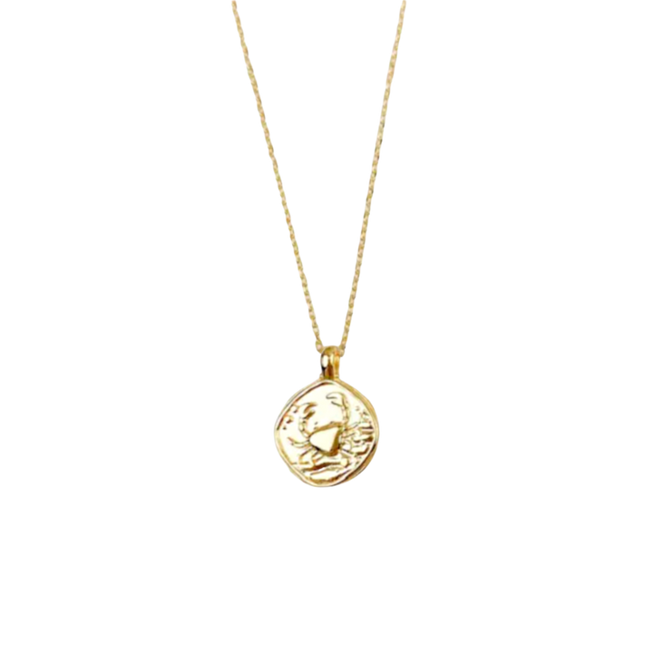 Zodiac Coin Necklace