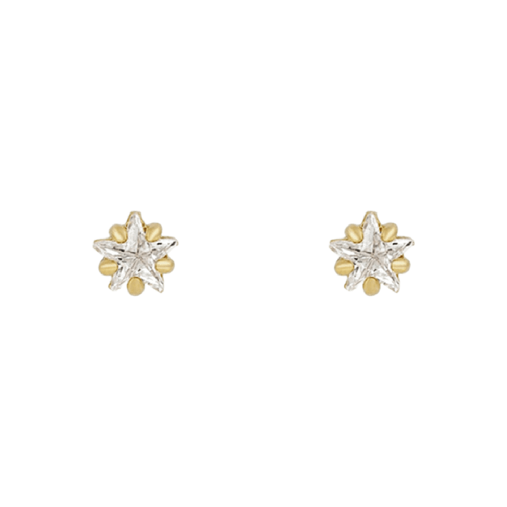 Flowerburst Star Earrings