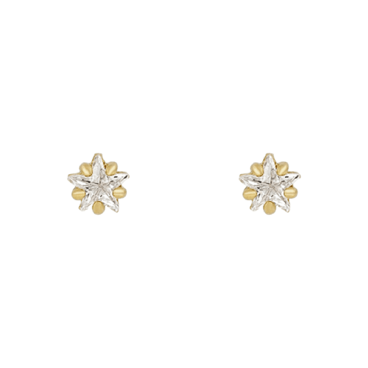 Flowerburst Star Earrings