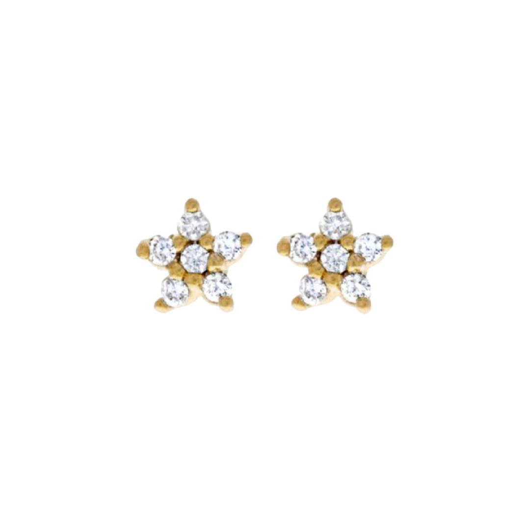 Flowerburst Star Earrings