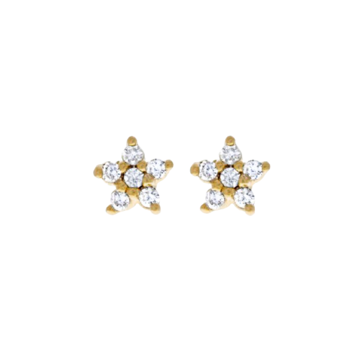 Flowerburst Star Earrings