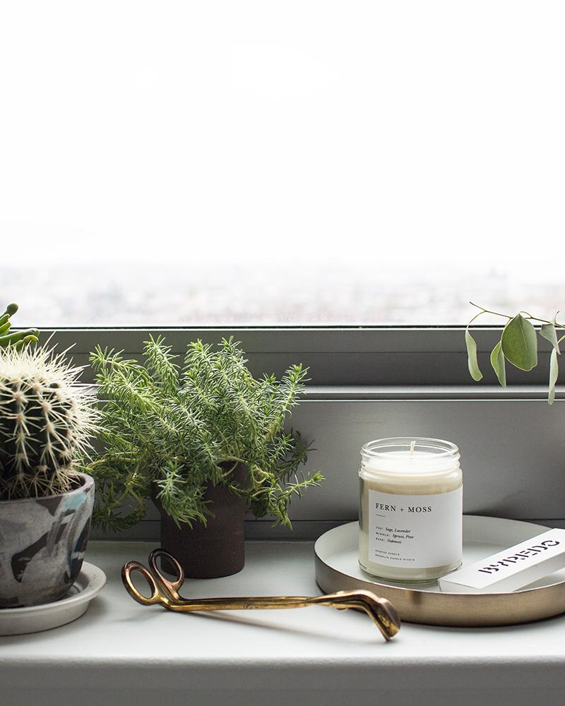 Fern + Moss Minimalist Candle