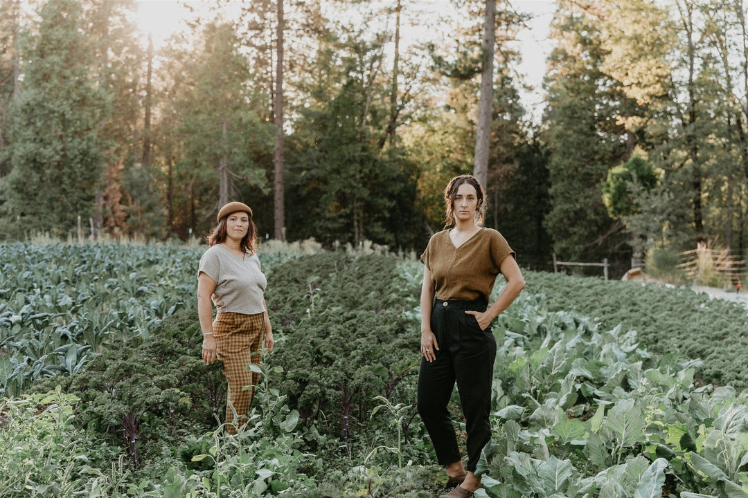 Dolman Top in Golden Checker