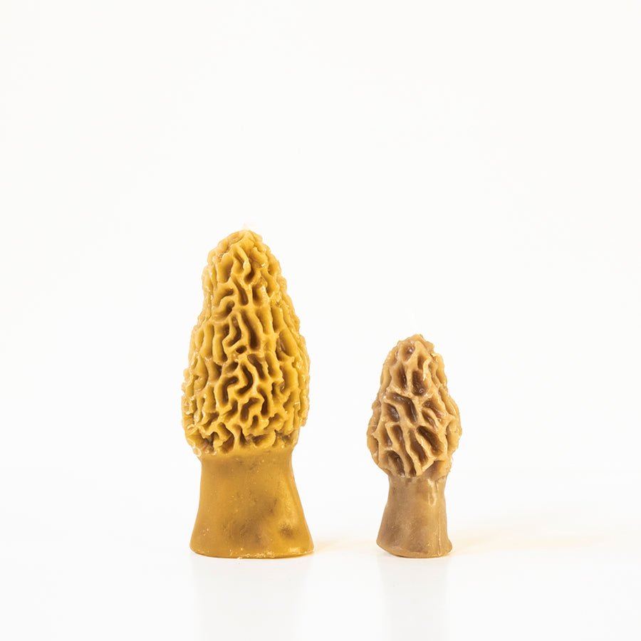 Morel Mushroom Beeswax Candle