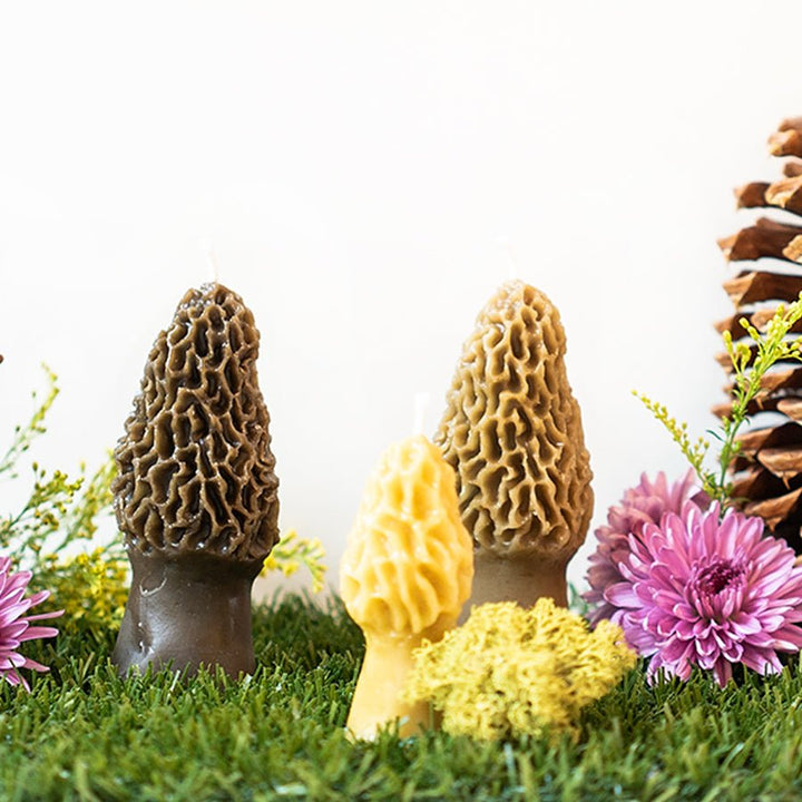 Morel Mushroom Beeswax Candle