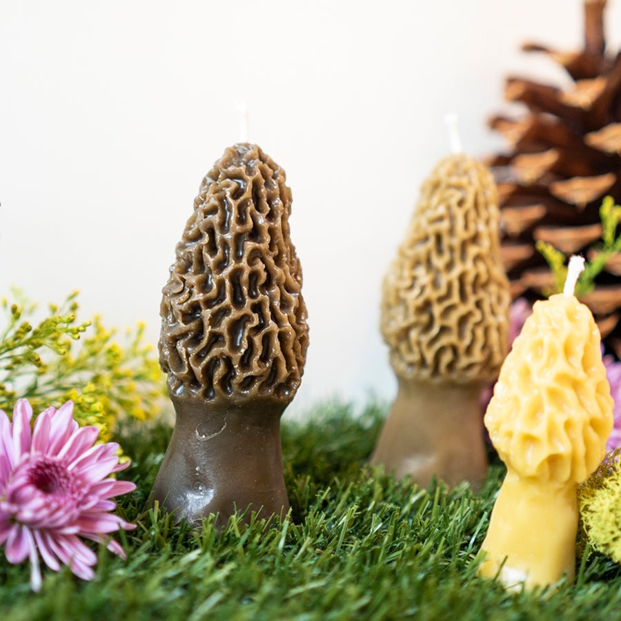 Morel Mushroom Beeswax Candle