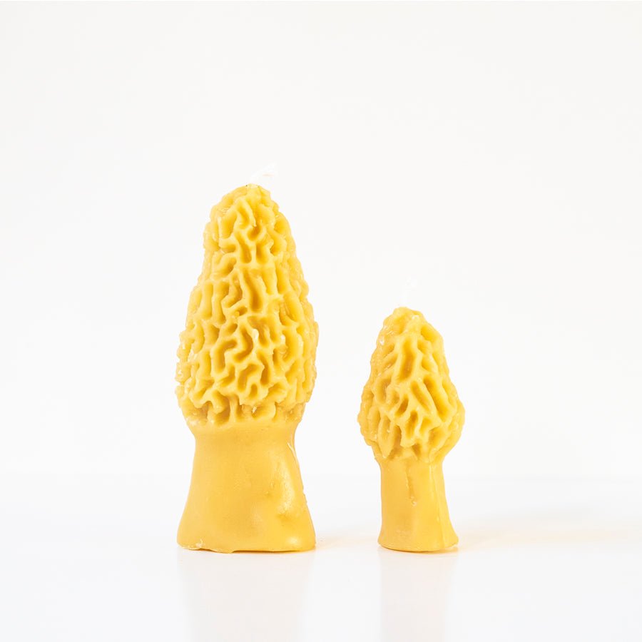 Morel Mushroom Beeswax Candle