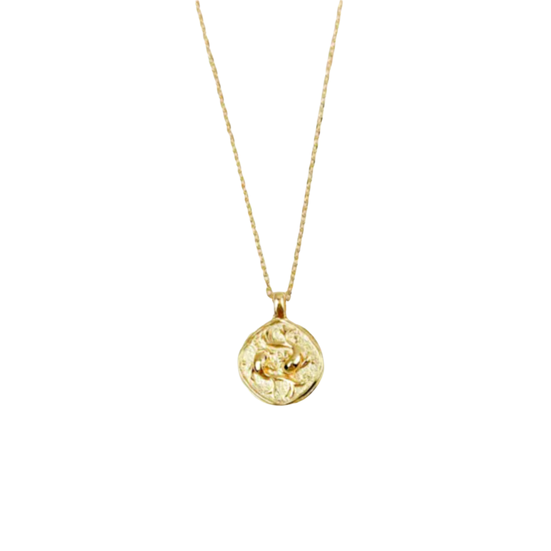 Zodiac Coin Necklace