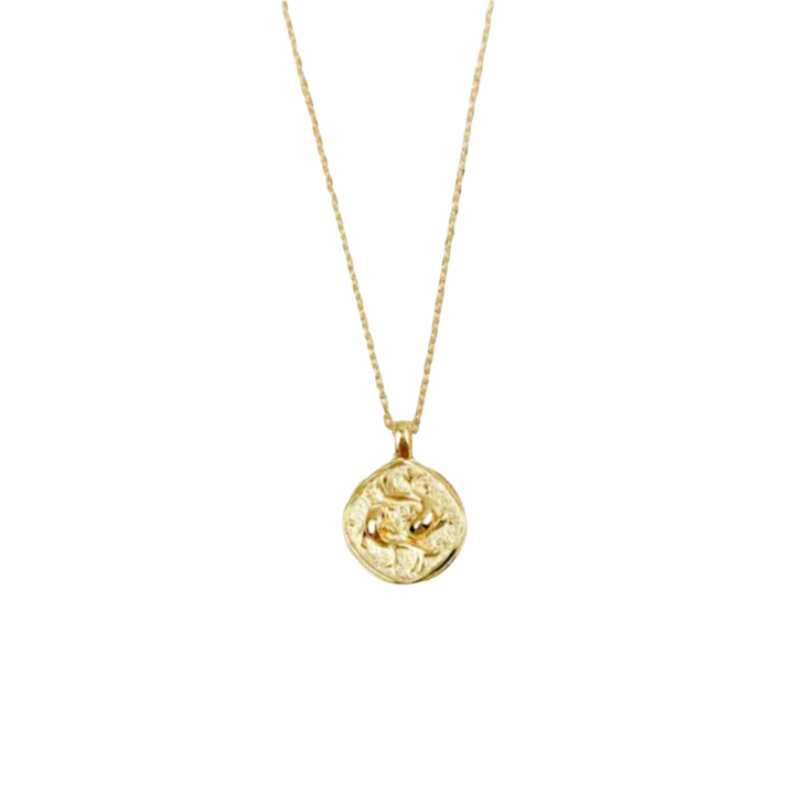 Zodiac Coin Necklace